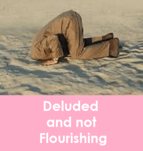 PinkPresbyterianPicture01