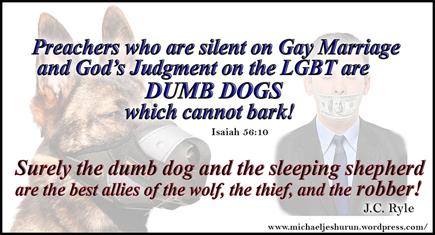 lgbt-dumb-dogs1